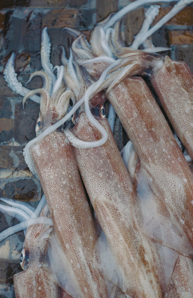 无脊椎动物标志