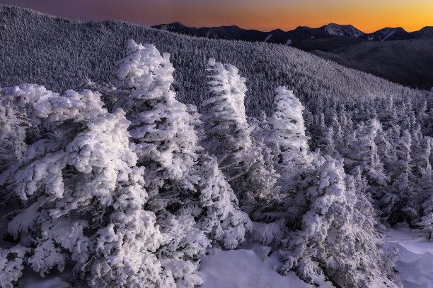 adirondack