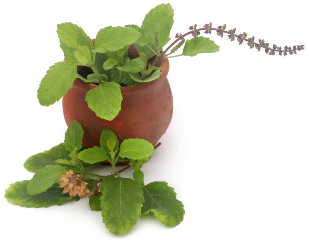 ayurveda