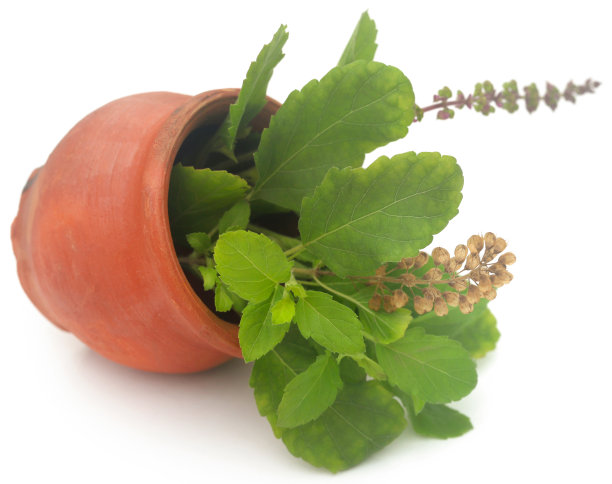 ayurveda