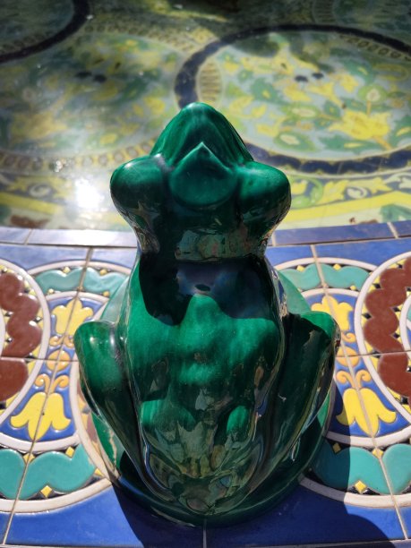 dendrobates