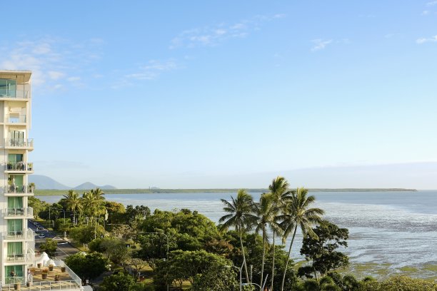 banyan
