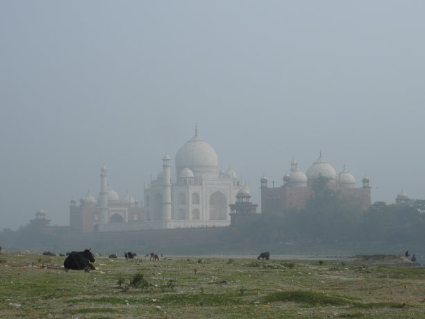 maharaja