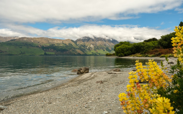 wakatipu