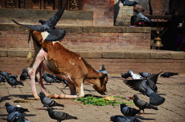 patan