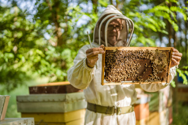 beekeeper
