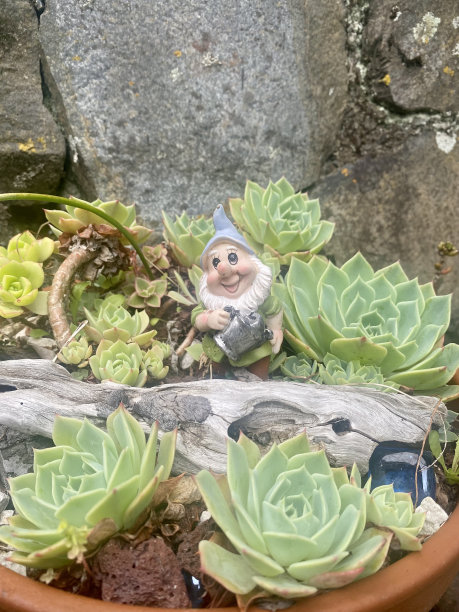 gnome