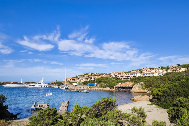 cervo