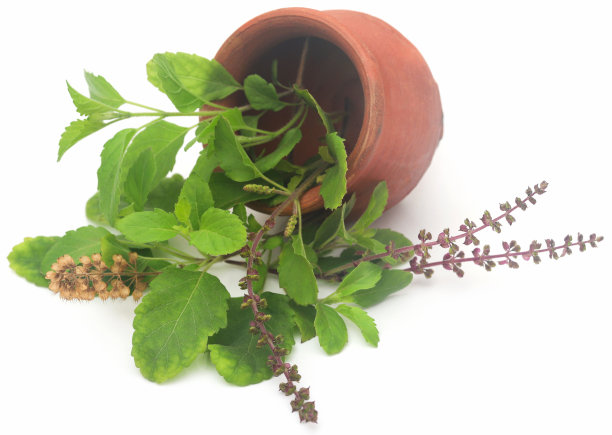 ayurveda
