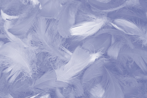 preen