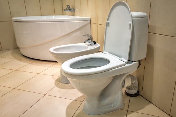 bidet