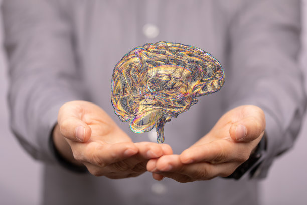 cerebrum
