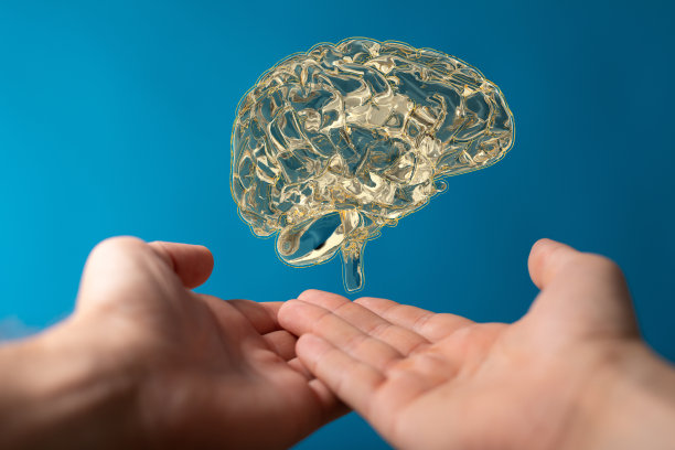 cerebrum
