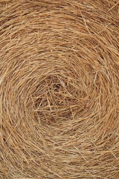 bale