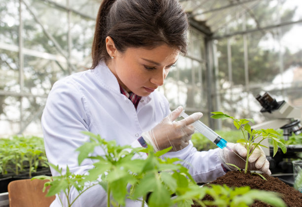 生物学家,实验室,科学实验