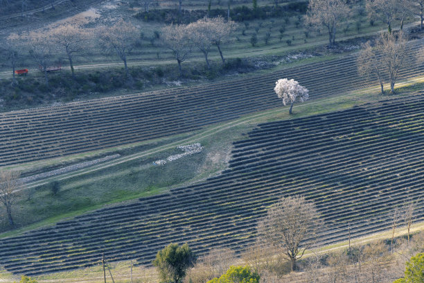 gordes