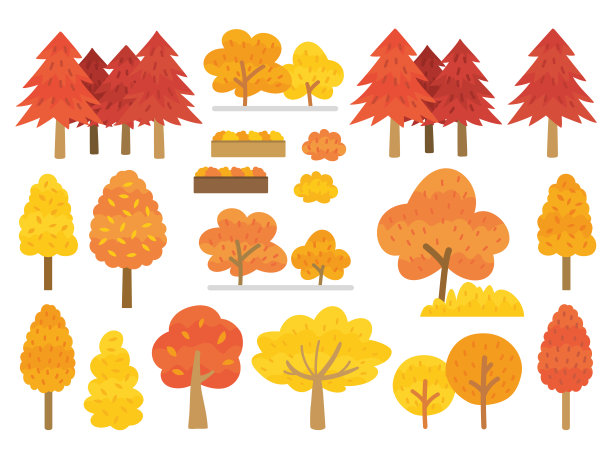 maple