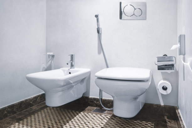 bidet