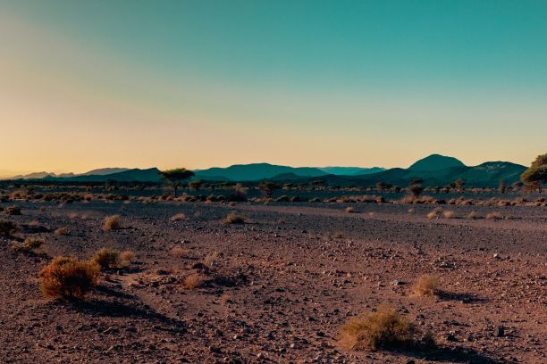 desolate