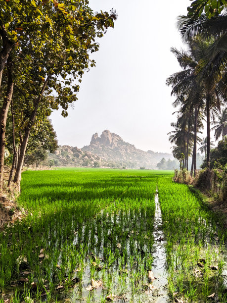 hampi