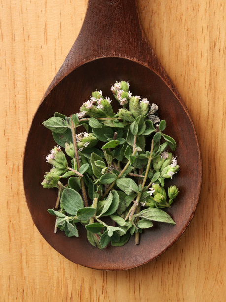 oregano