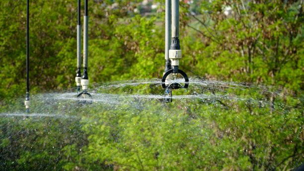 sprinkler