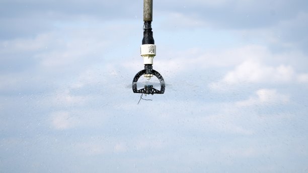 sprinkler