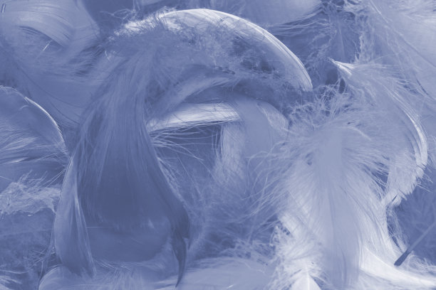 preen