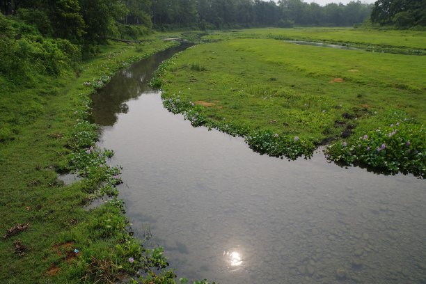 chitwan