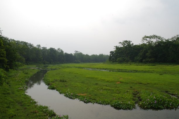 chitwan