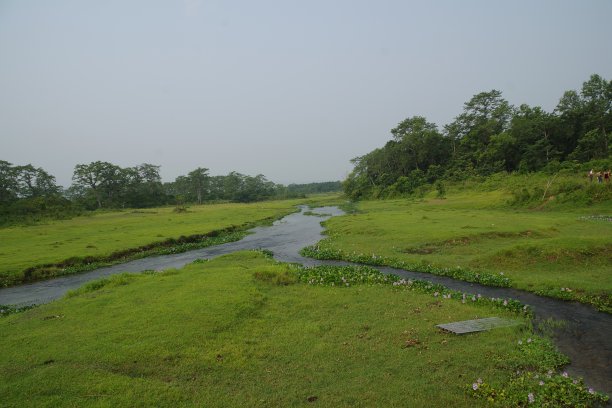 chitwan