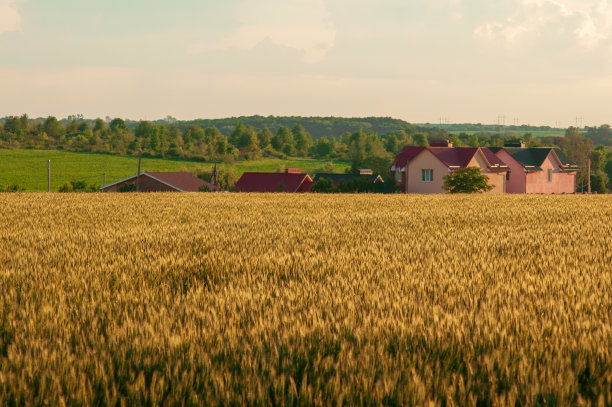 ukraine