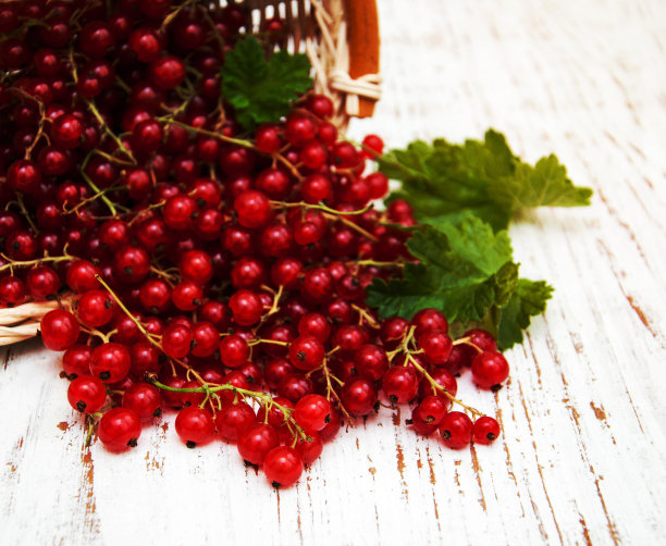 redcurrant