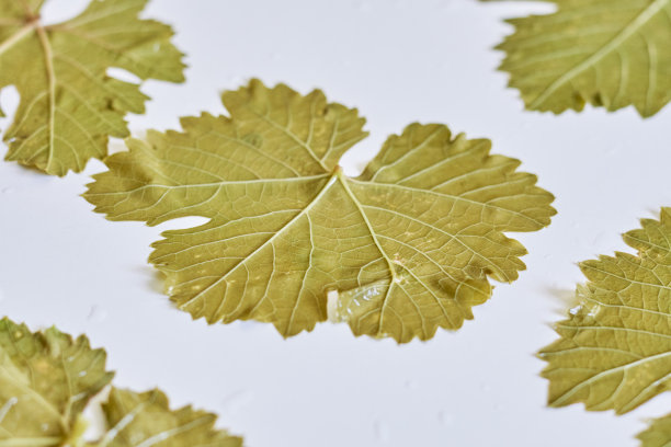 dolmades