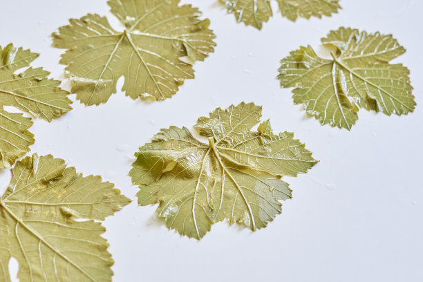 dolmades