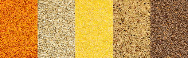 couscous