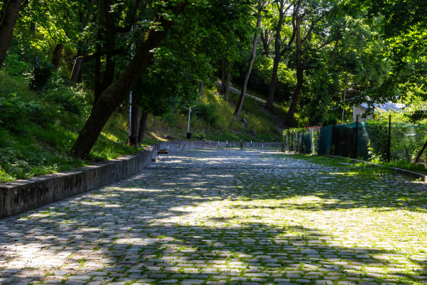pavement