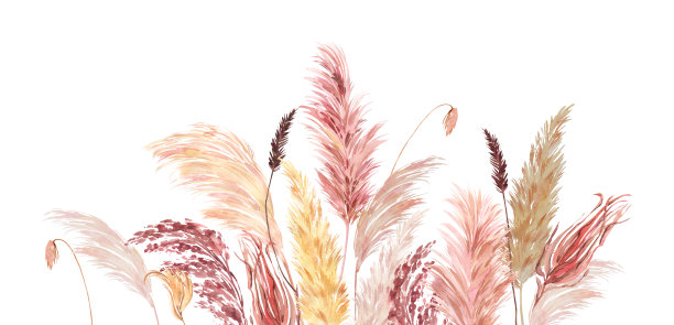 pampas