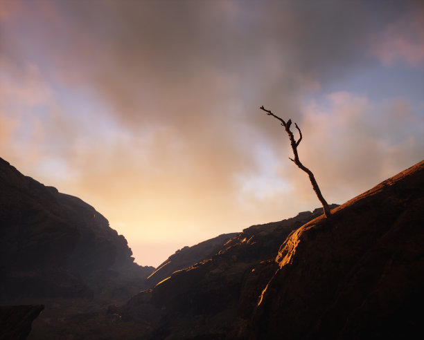 desolate