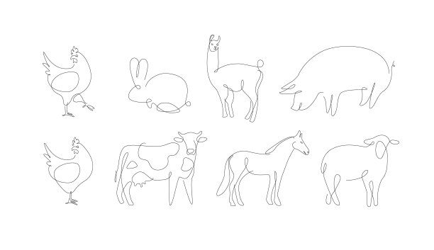 alpaca