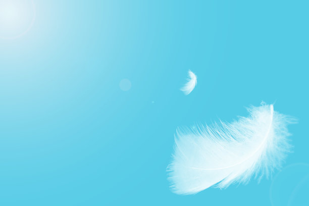 plumage