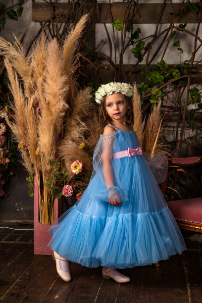 fairy