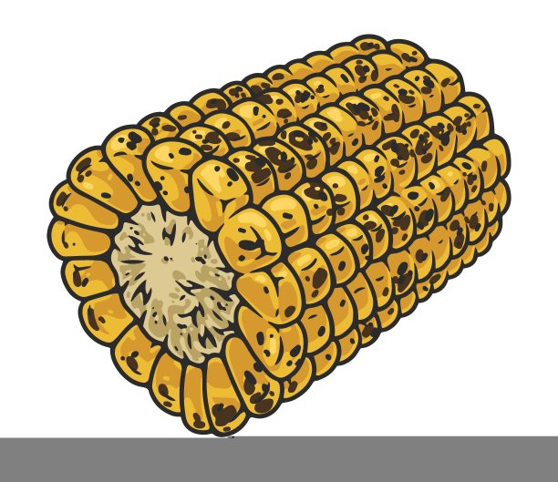 玉米种子单页