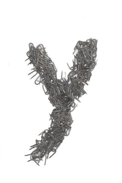 可放置图片文字