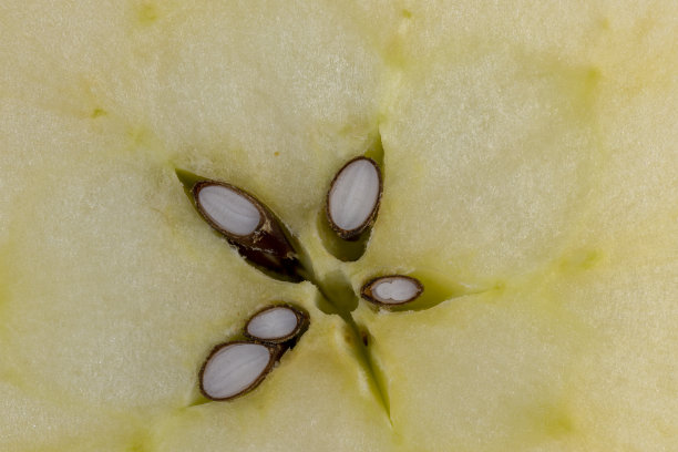 core