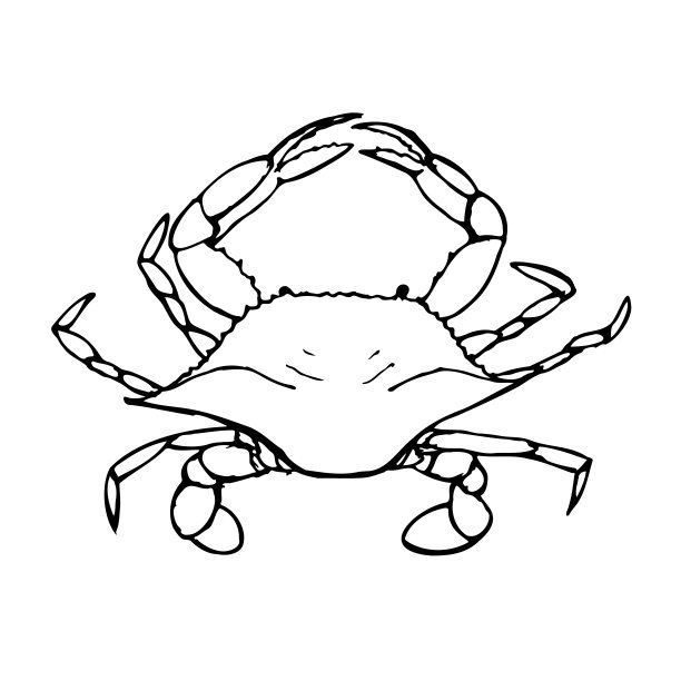 青蟹插画