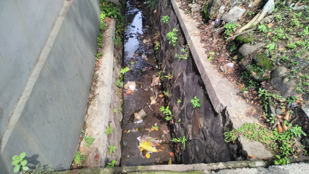 ditch