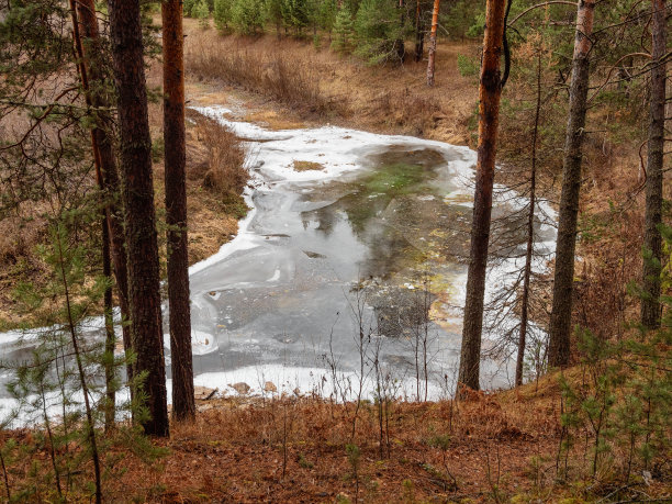 backwater