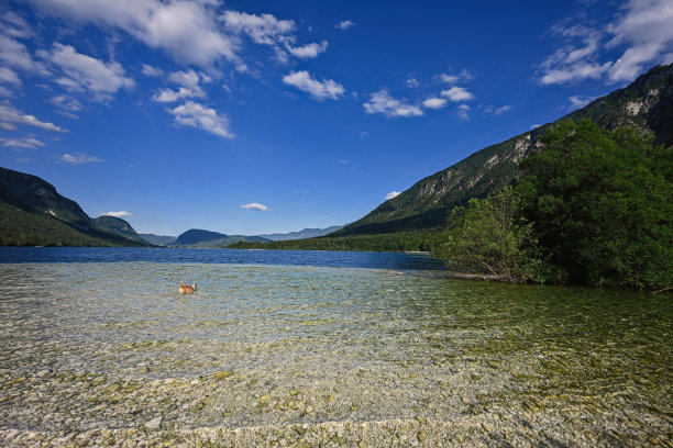 bohinj