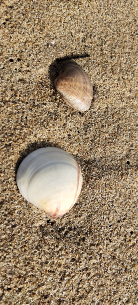 beach-access